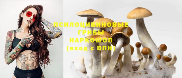 дмт Зеленокумск