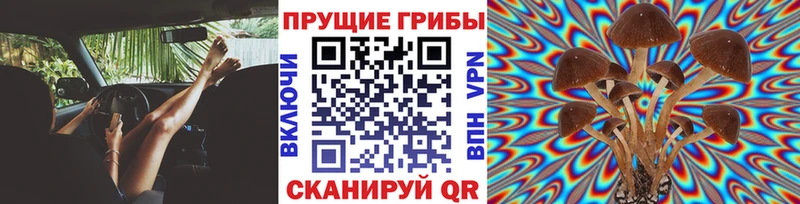 Псилоцибиновые грибы ЛСД  купить наркотик  Канаш 