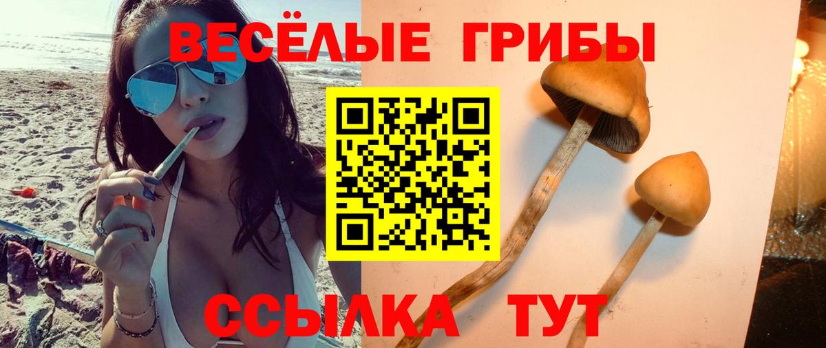Галлюциногенные грибы прущие грибы Канаш
