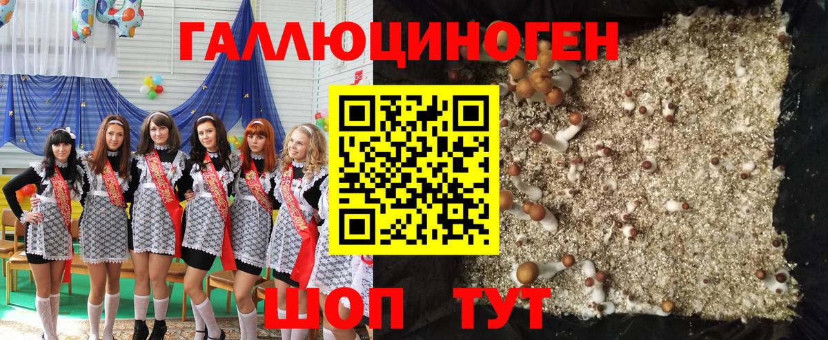 Галлюциногенные грибы Psilocybine cubensis  Вход с VPN  Канаш 
